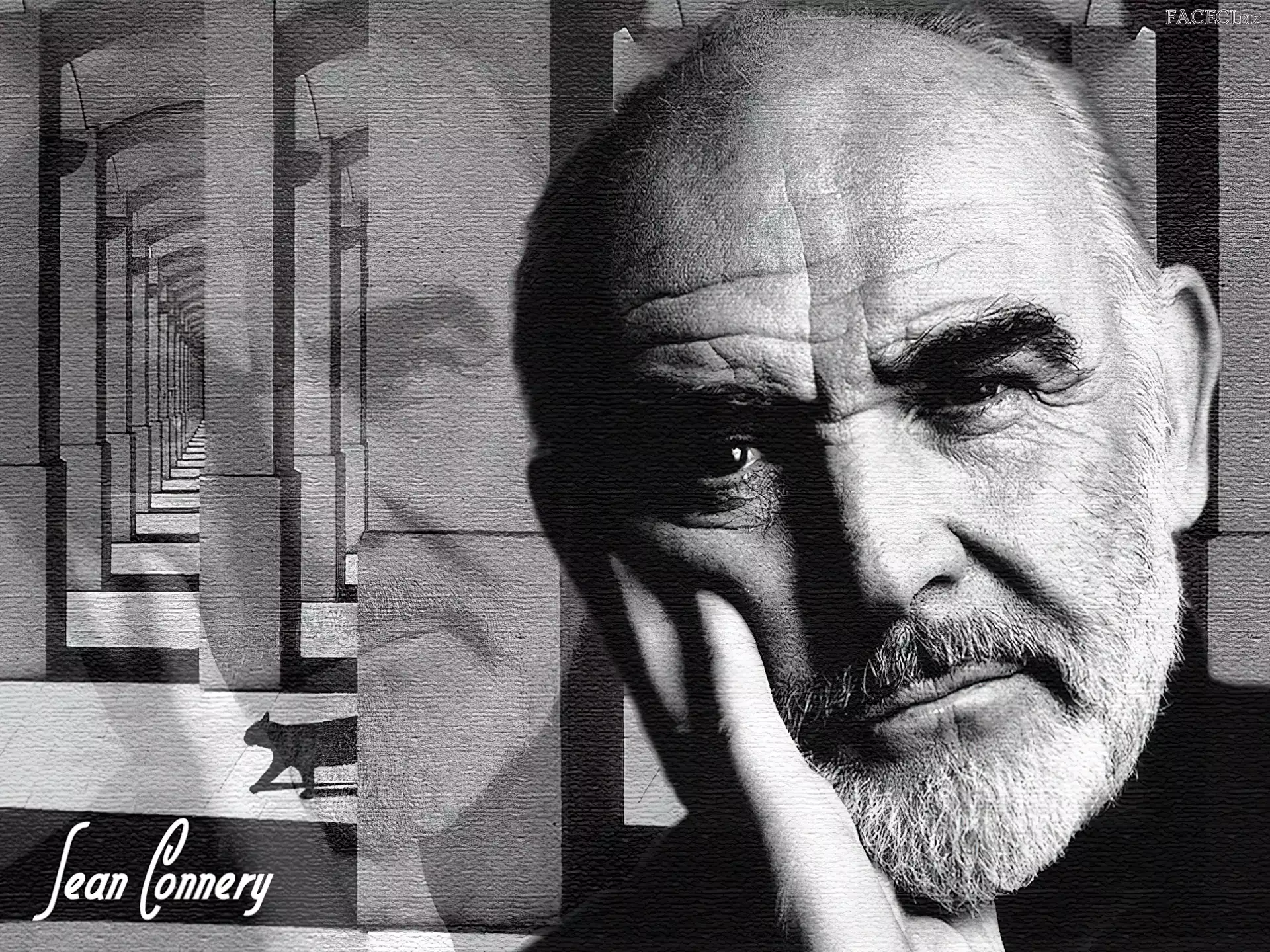 Sean Connery, kot
