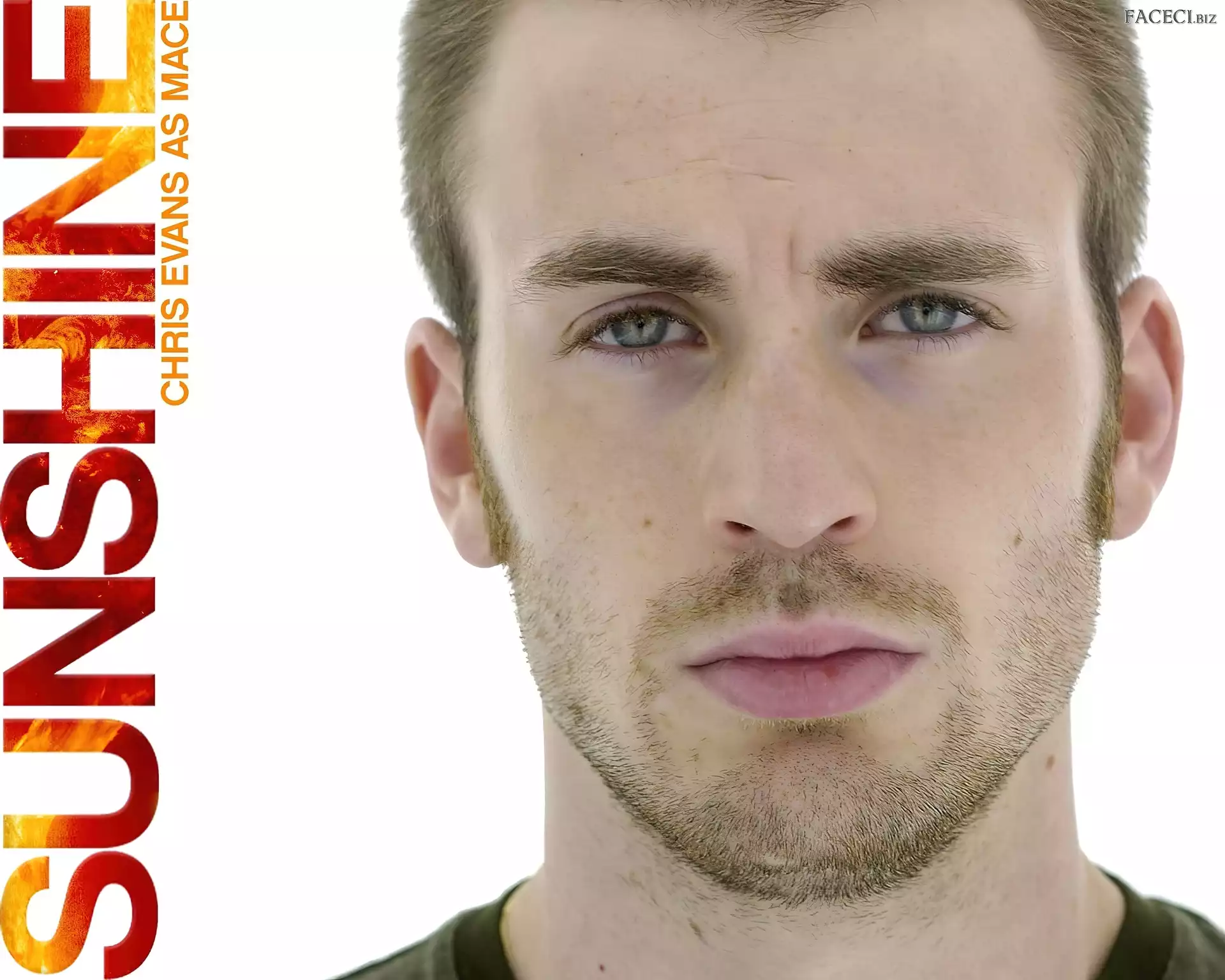 napis, bródka, Chris Evans, Sunshine, twarz